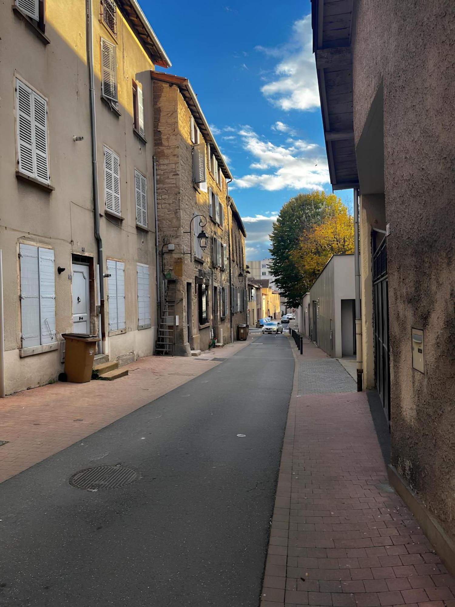 Tinyhouse Experience In Beaujolais Apartment Villefranche-sur-Saone Bagian luar foto